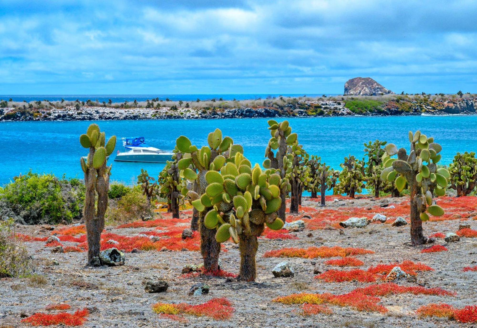 Royal Palm Galapagos, Curio Collection Hotel By Hilton Bellavista  Exteriér fotografie